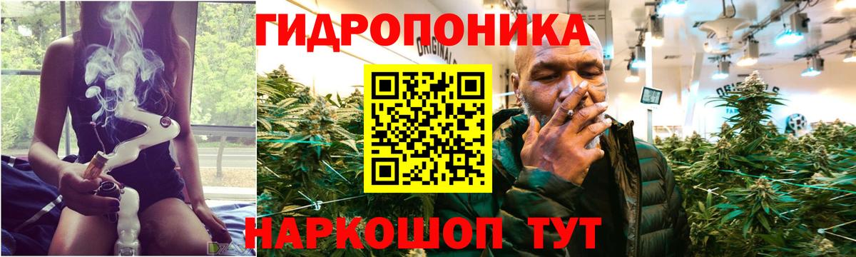 Бошки Шишки OG Kush Орёл